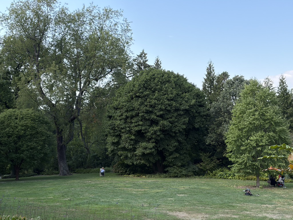 Apple iPhone 17 fotoexempel