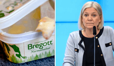 S vill se vinstförbud i förskolan: ”Hårresande”