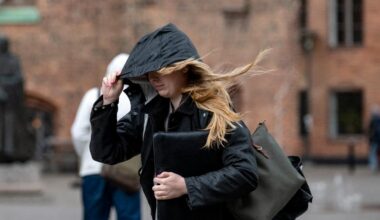 Vind och stormbyar på ingång