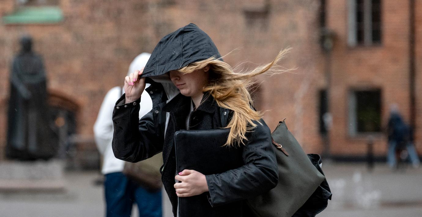 Vind och stormbyar på ingång