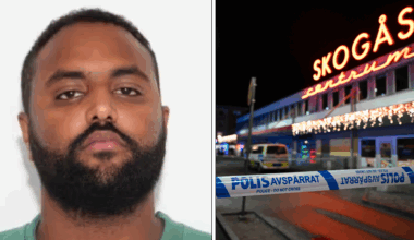 Styrde mord via chatt – livstidsdom står fast