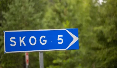 Som man ropar i skogen får man svar