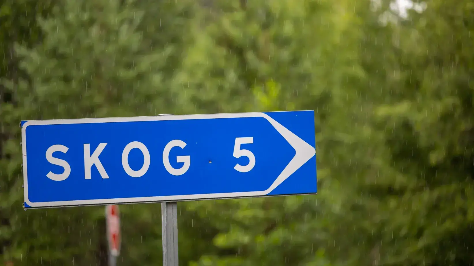 Som man ropar i skogen får man svar