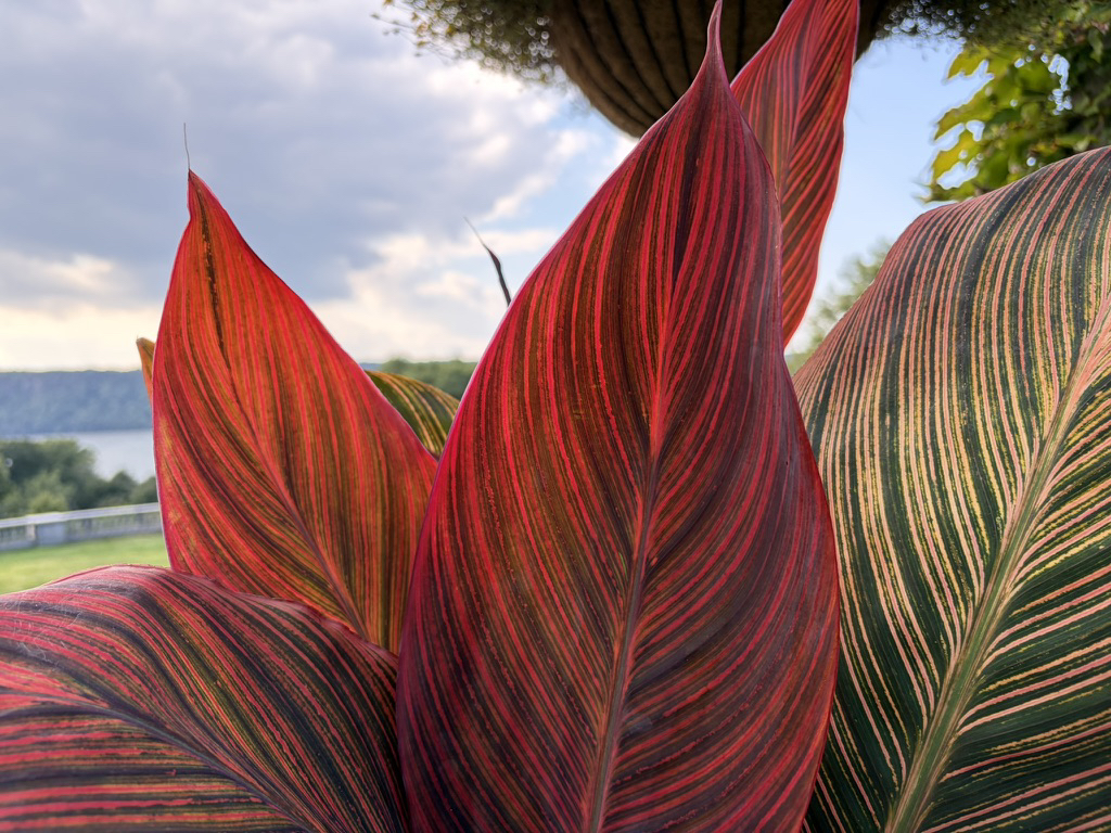 Apple iPhone 17 fotoexempel