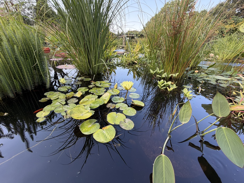 Apple iPhone 17 fotoexempel