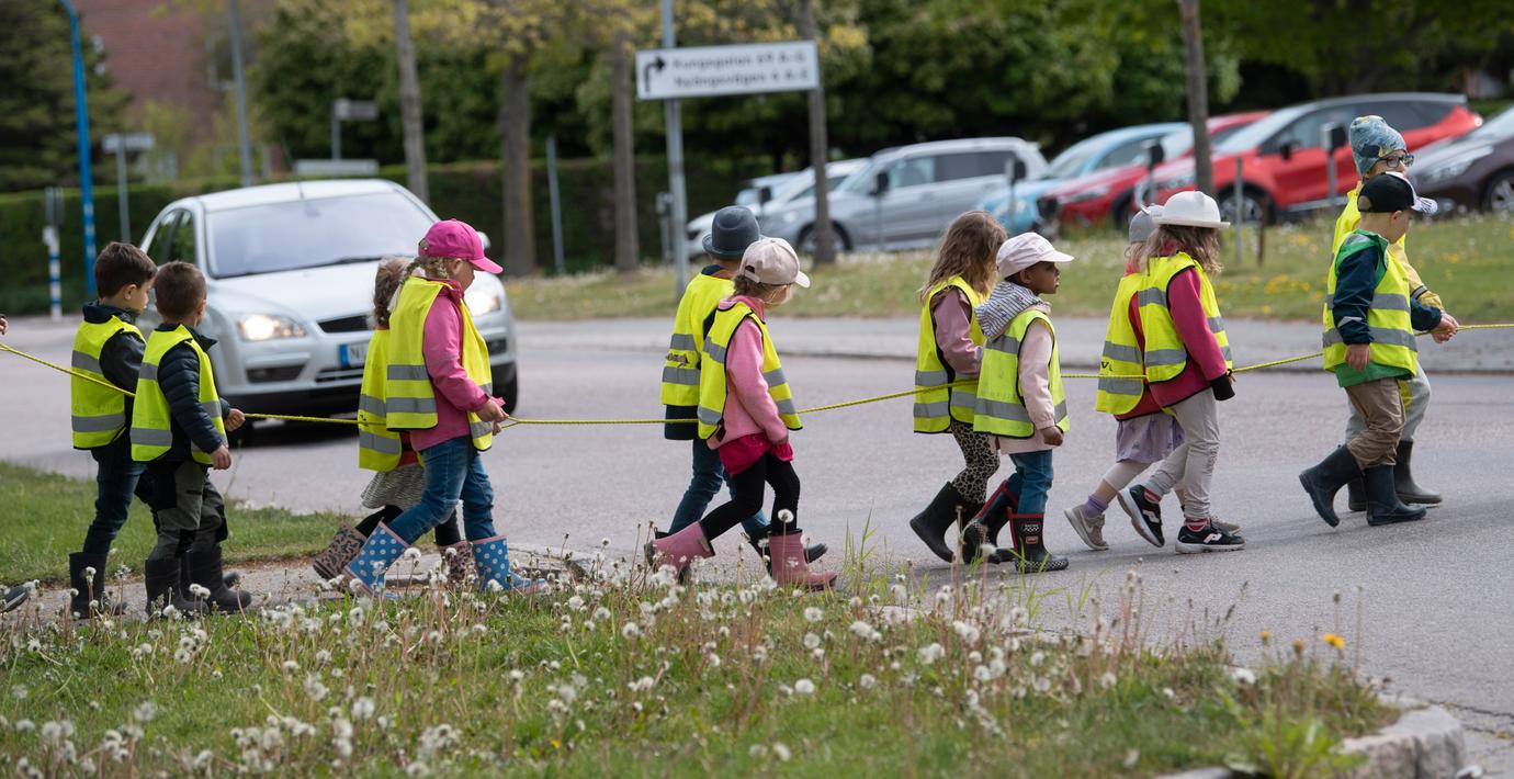 Rödgröna hade rätt att stoppa ny förskola