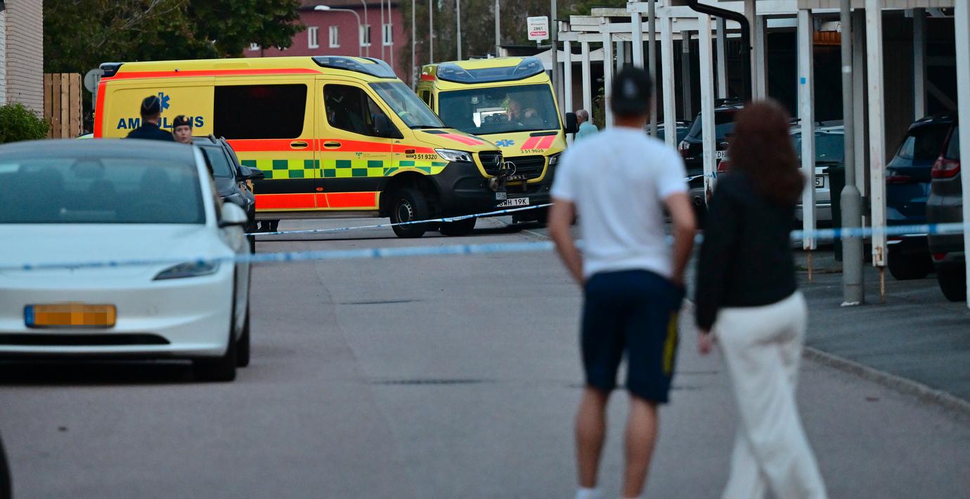 Gripandet lämnar ett vakuum – våldet kommer inte att ta slut