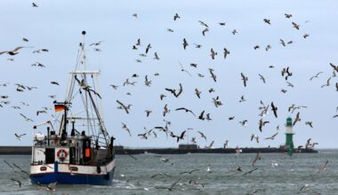 EU-toppen: ”Katastrof om fiskbestånd försvinner” - Omni
