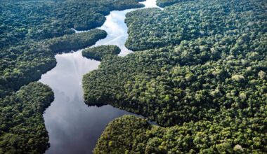 Grönt ljus för oljeborrning – oroar inför klimatmötet