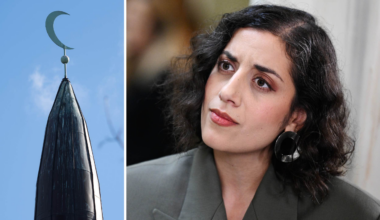 Så ska Sverige rädda ”blågul islam”