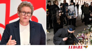 Socialtjänsten går på knäna efter mordet på Mikael