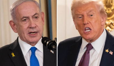 Sågar planen: ”Ingen tror på Trump”