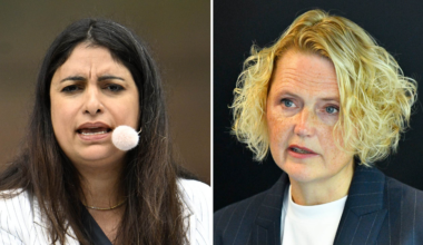 Anna-Karin Hatts svar till Vänsterpartiet: Stressad