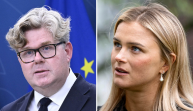 Strömmer om straffen för stalkning: För billigt pris