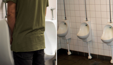 Unisextoaletter upprör – män vågar nu inte gå på toa