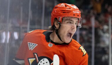 Leo Carlsson med dubbla mål på sex minuter | NHL