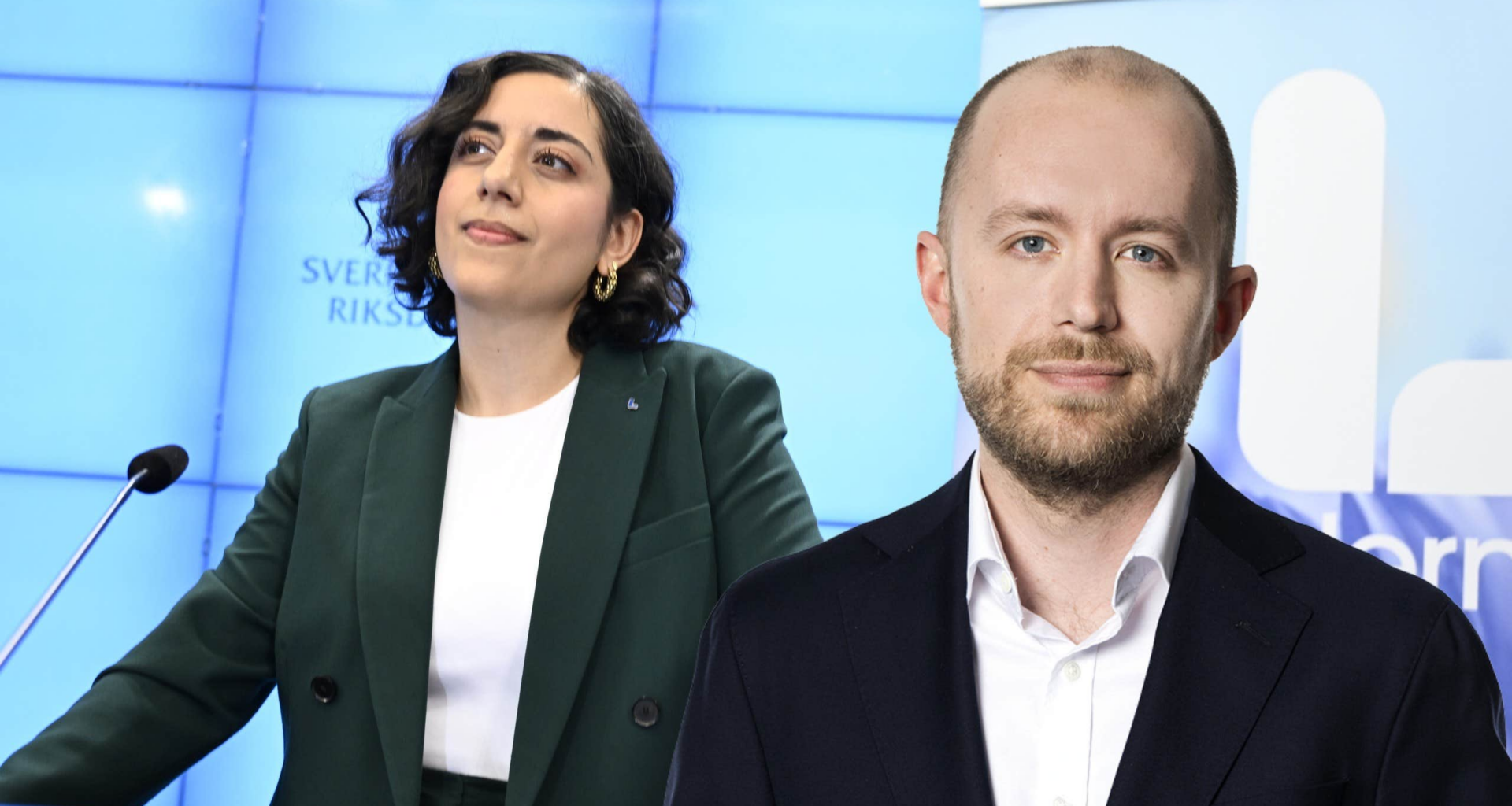 Dags för L att ta en paus från riksdagen?