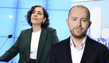 Dags för L att ta en paus från riksdagen?