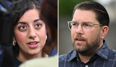 Splittringen om SD i regeringen – Liberalernas ödesprocess