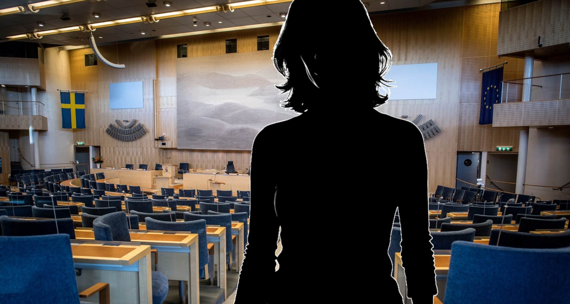 Klimataktivist dömd efter aktion i riksdagen