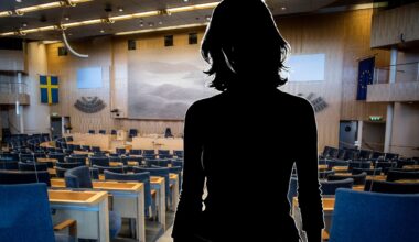 Klimataktivist dömd efter aktion i riksdagen