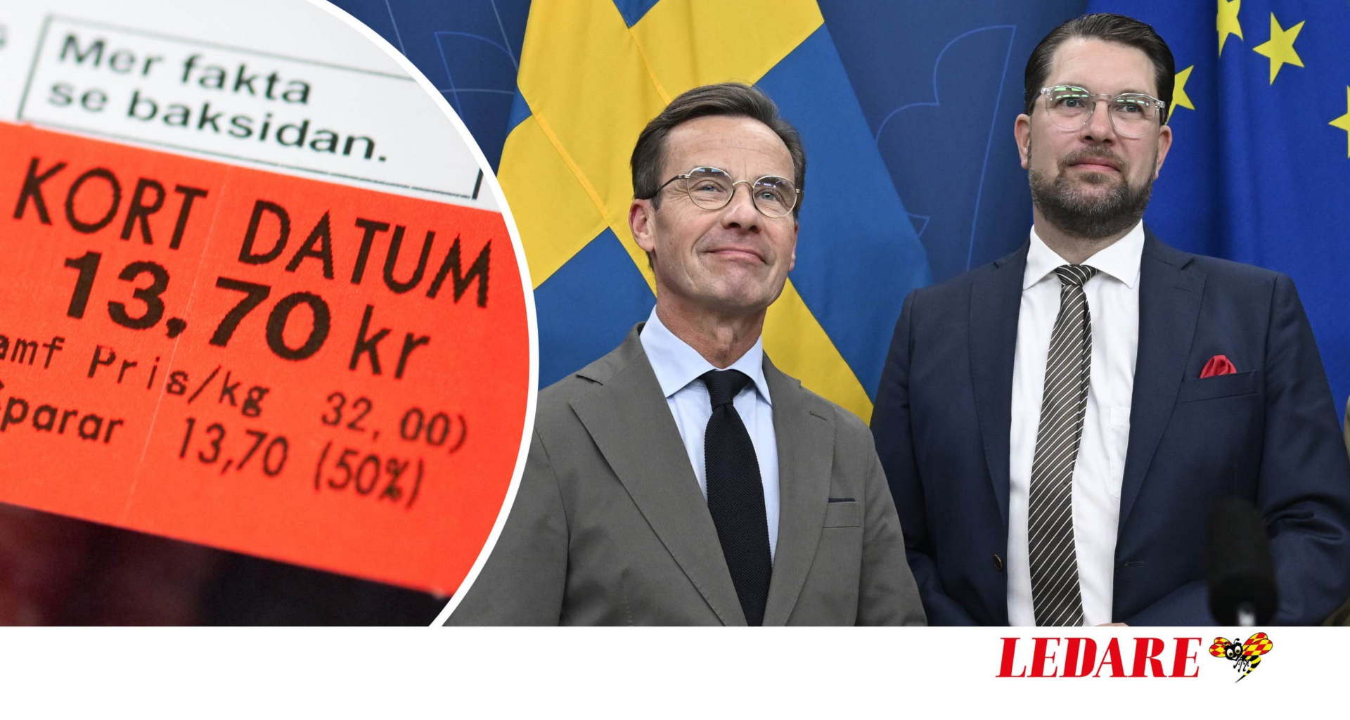 Regeringens tillfälliga reformer är skadliga