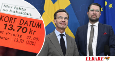 Regeringens tillfälliga reformer är skadliga
