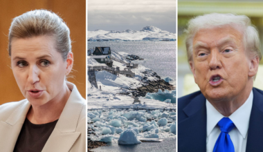 Danmark rustar – efter Trumps ord | Världen