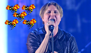 Så bra var Markus Krunegård på Avicii Arena