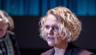Anna-Karin Hatt avgår som Centerpartiets partiledare
