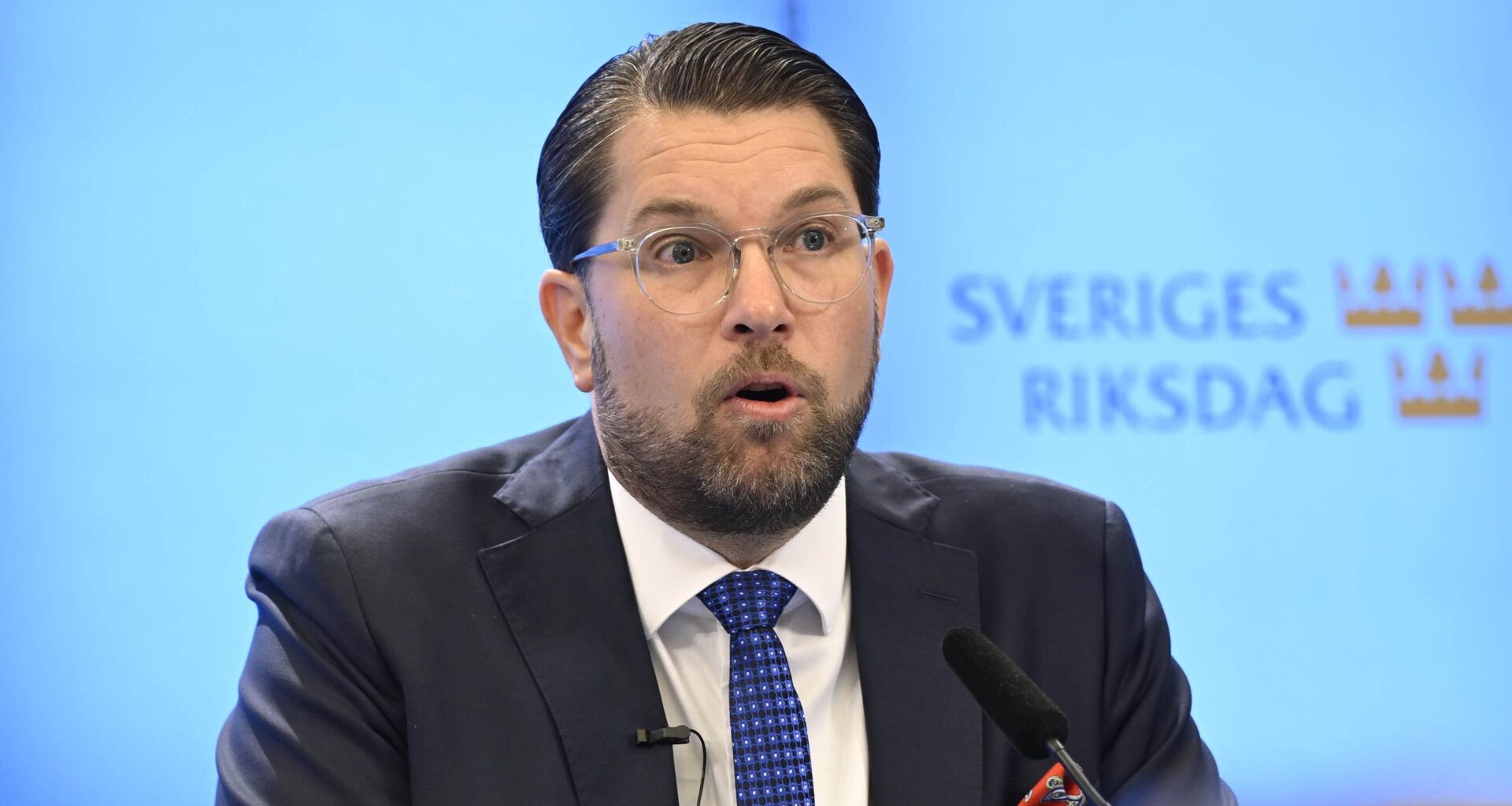 Sverigedemokraterna kräver folkomröstning om grundlagsändringar