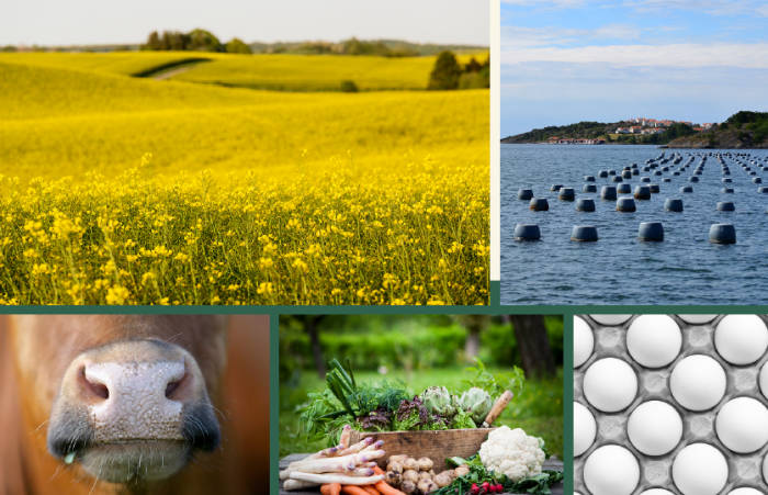 Ett collage som representerar svenska råvaror