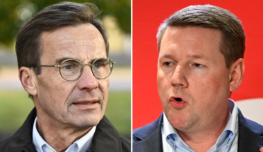 Han som tagit makten med SD