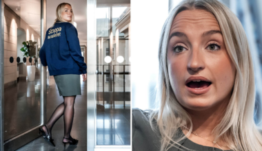 Denice Westerberg: Jag blev kallad SD-hora
