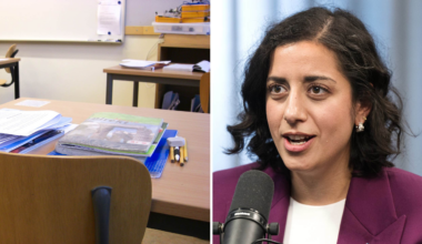 Liberalerna: Inför vinstförbud i skolan