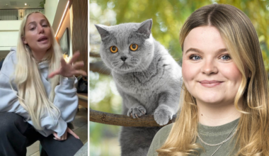 Vi har inte råd att vara naiva om barn på nätet