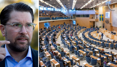 Omröstning om SD:s förslag om folkomröstning