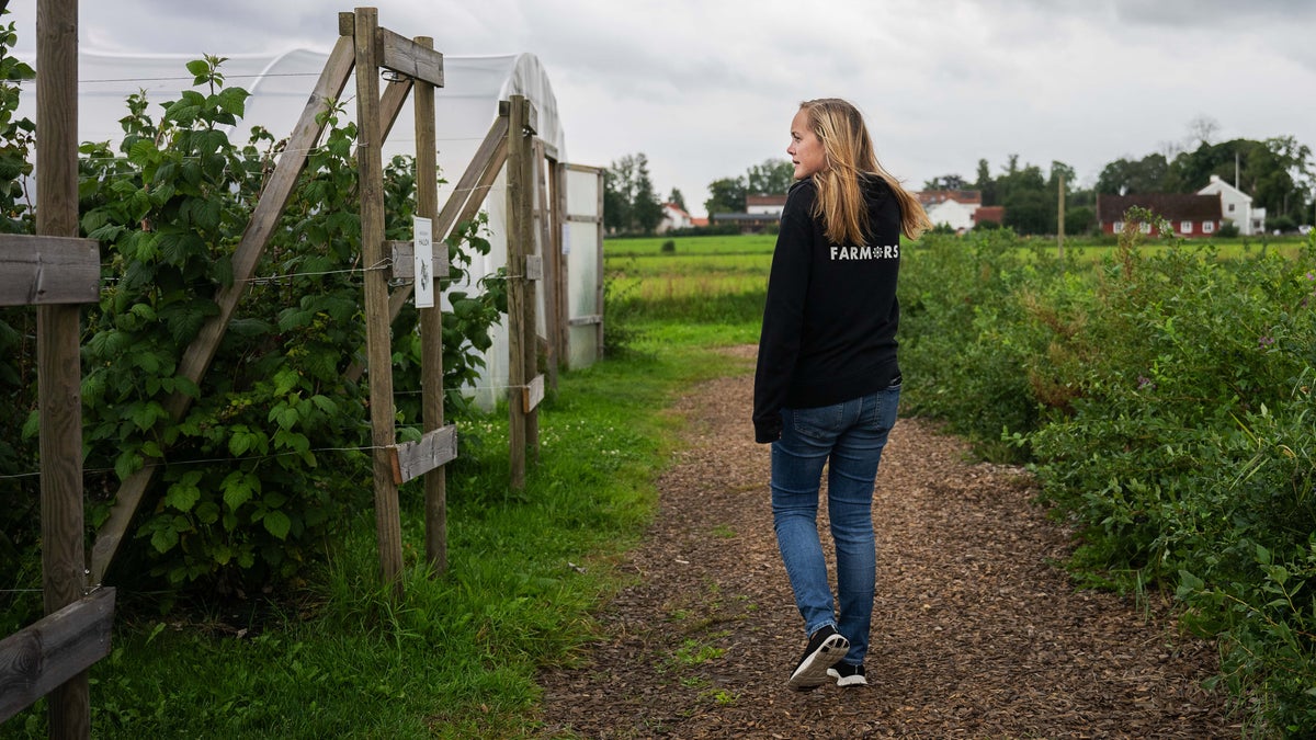 ”Galet att vi avslutar när det går som bäst” – Smålandsposten