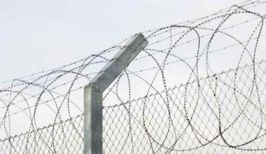 Sacharovpriset går till två fängslade journalister: ”I fångenskap bara för att de talat om orättvisa” | Utrikes