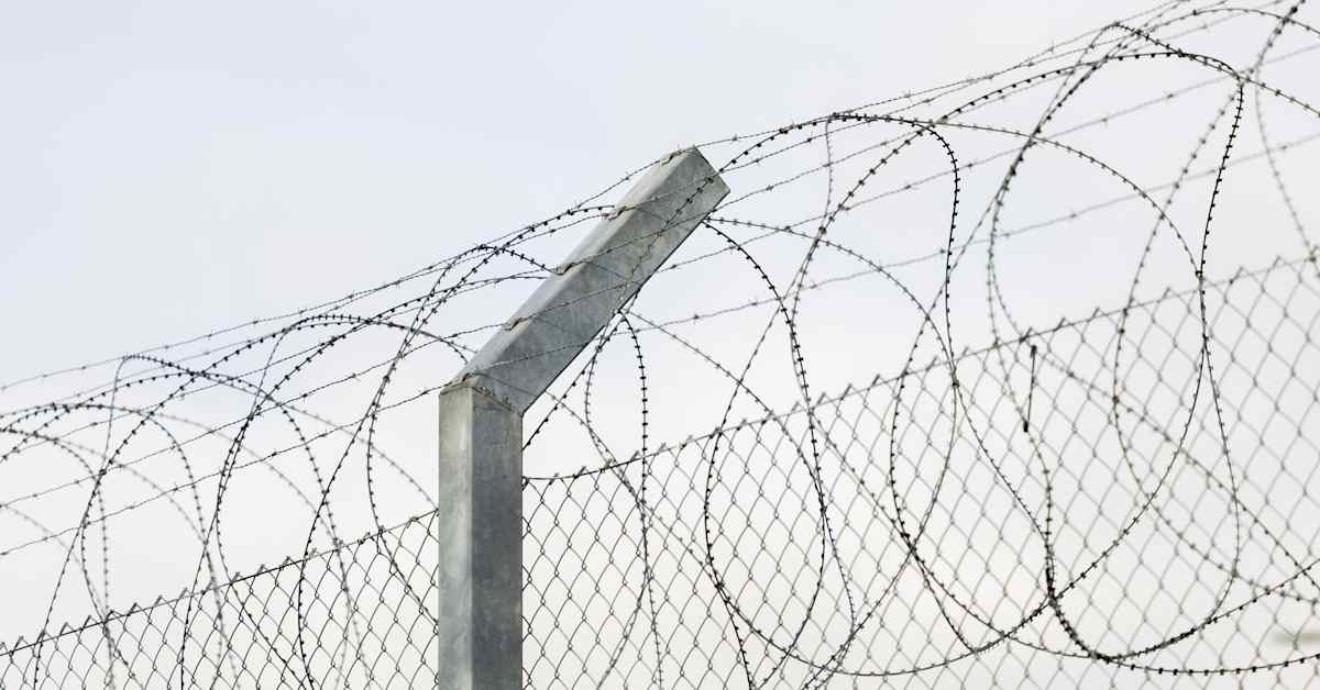 Sacharovpriset går till två fängslade journalister: ”I fångenskap bara för att de talat om orättvisa” | Utrikes