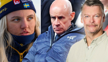 Vi får skämmas över att Johan Eliasch är svensk