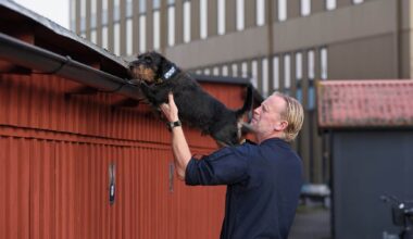 Ivan är årets polishund 2025 – har förhindrat mord