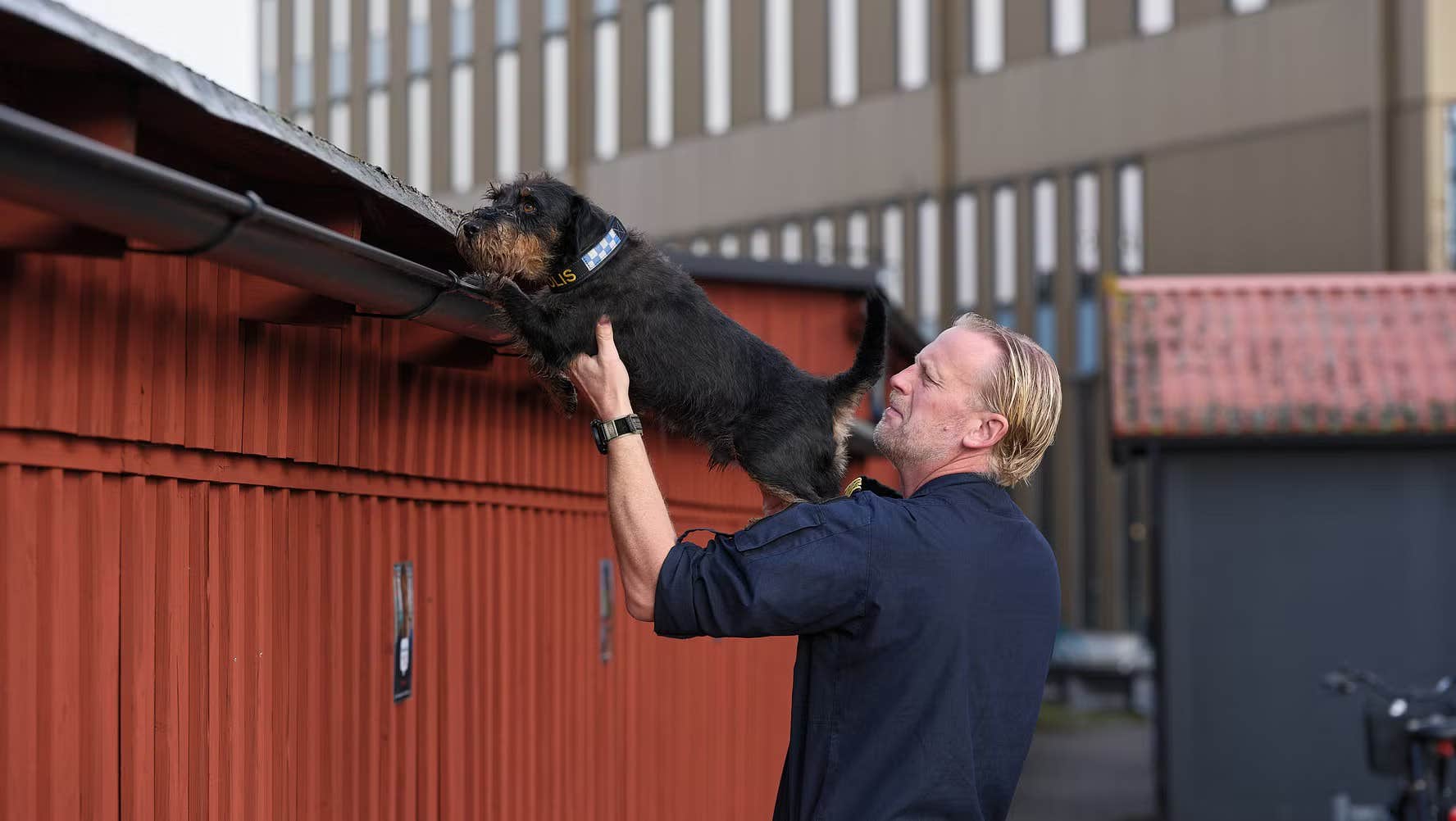 Ivan är årets polishund 2025 – har förhindrat mord