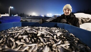Låt inte kvoterna bli en dödsdom för den finska fiskerinäringen – Hufvudstadsbladet