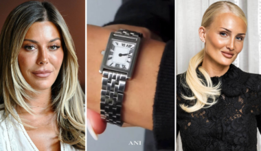 Ani jewels lanseringen pausas
efter plagiatanklagelserna