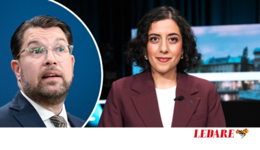 Liberalernas velande om Sverigedemokraterna kan kosta dem riksdagsplatsen