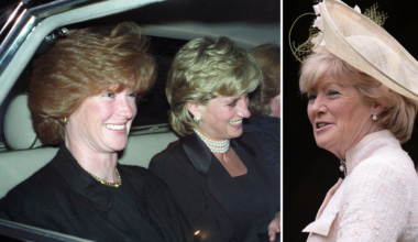 Prinsessan Dianas syster allvarligt skadad