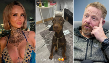 Kritiken mot Paow efter bilden på hunden: ”Vansinne”