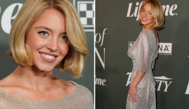 Vågade galaklädseln utan
bh – i genomskinlig dress