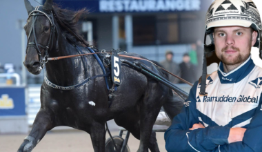 Min häst blir farlig mot stora favoriten - Expressen